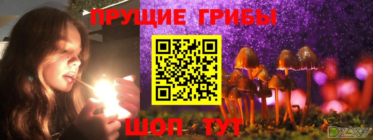 Люберцы  Галлюциногенные грибы прущие грибы  Псилоцибиновые грибы Psilocybine cubensis  Вход с VPN 